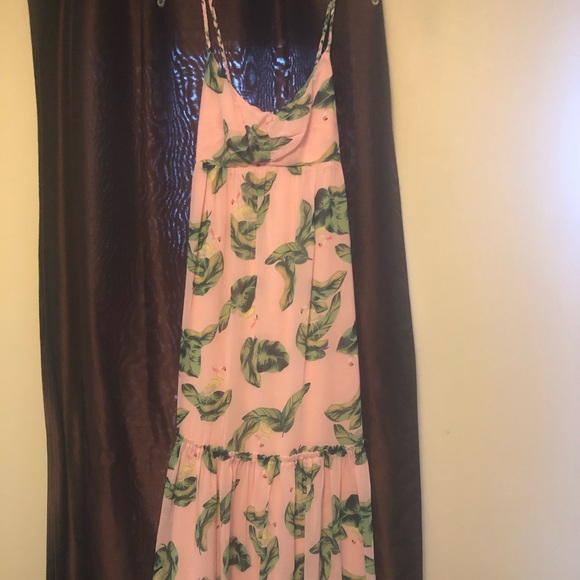 The Webster at Target Dresses & Skirts - Flamingo Pink and Green Maxi Dress